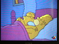 simpsons 001mini.JPG